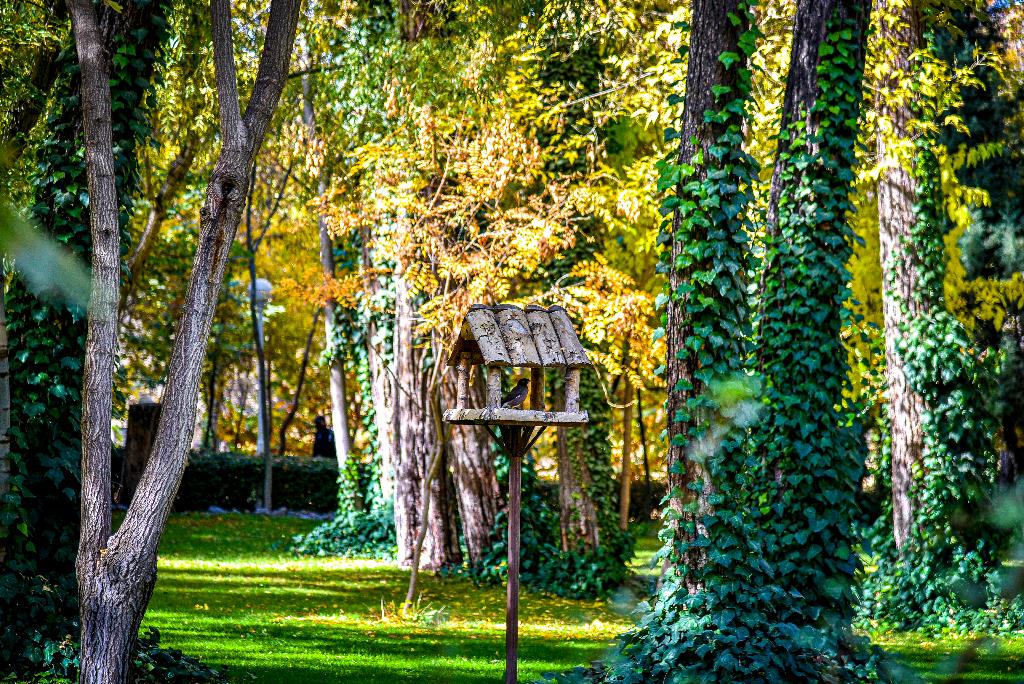 باغ وکیل‌آباد خانه درختانی از گوشه و کنار جهان