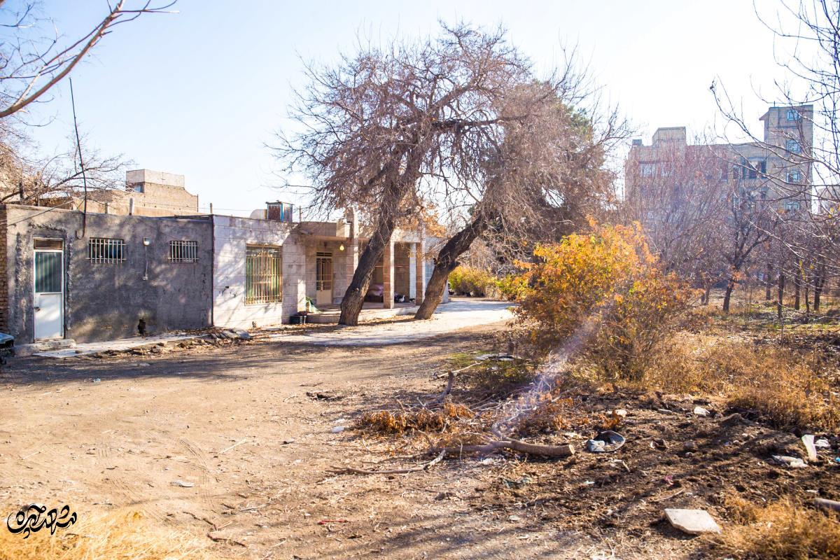 باغ «محمدآباد» و یادگاری 80 ساله «حاج غضنفر سازگار»