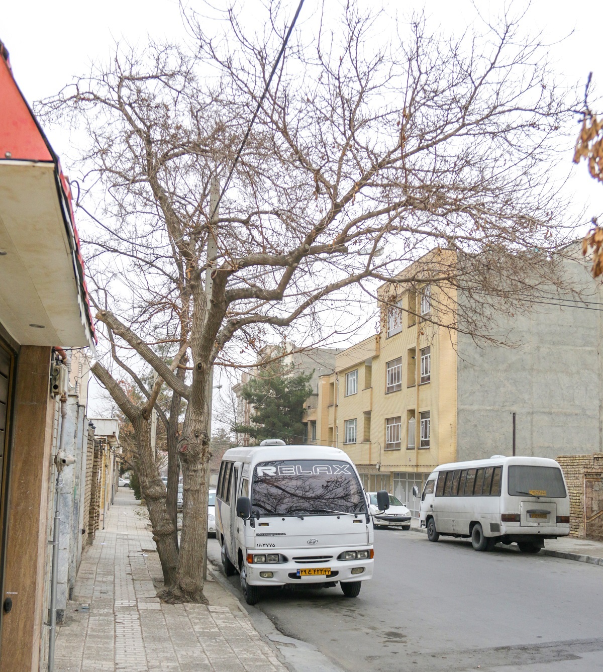 قدیمیترین کوچه انتهای دانشجو قدیمیترین کوچه انتهای دانشجو