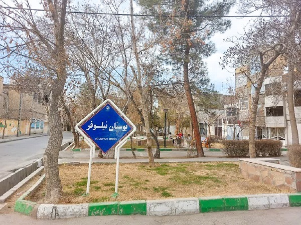 زندگی سنتی در کوچه سبز (شهید رستمی5 ) زندگی سنتی در کوچه سبز (شهید رستمی5 )