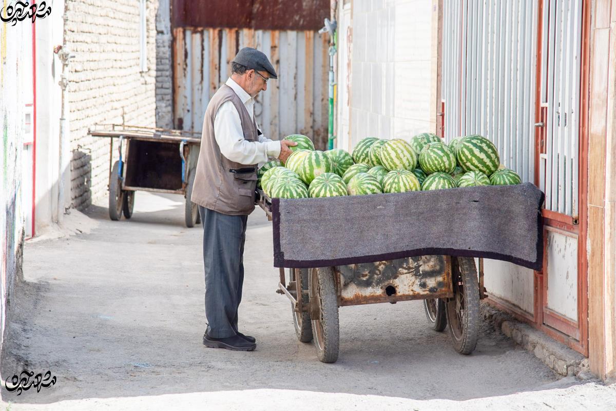 کوچه گاری‌ها؛ میوه فروشی‌ در محله موعود به سبک دهه 60