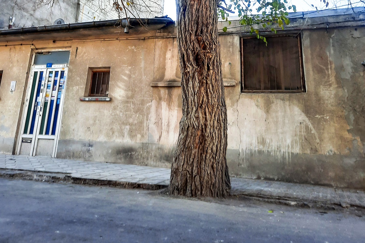کوچه مدرسه در کویپلیس کوچه مدرسه در کویپلیس