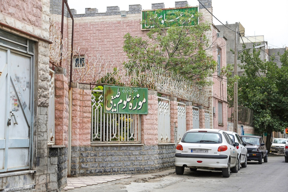 کوچه فرهنگ و هنر در محله فاطمیه