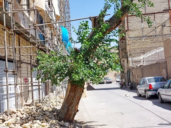 کوچه پشت قلعه در محله شهید رستمی کوچه پشت قلعه در محله شهید رستمی