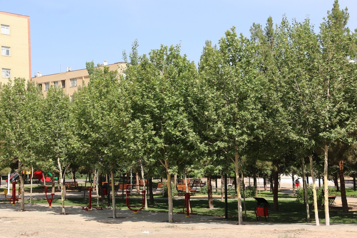 بوستان یاسمن در کوچه مهدیه 13