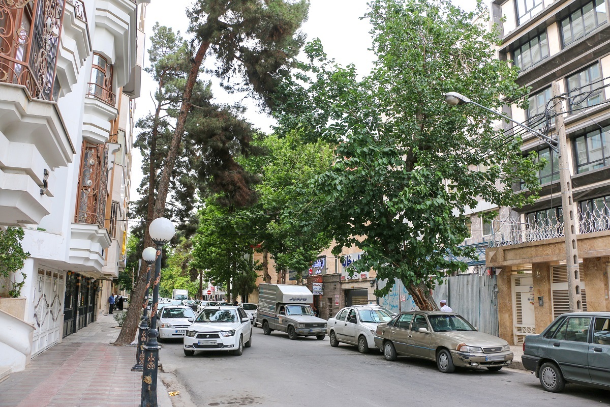 کوچه کانادا در بهشتی