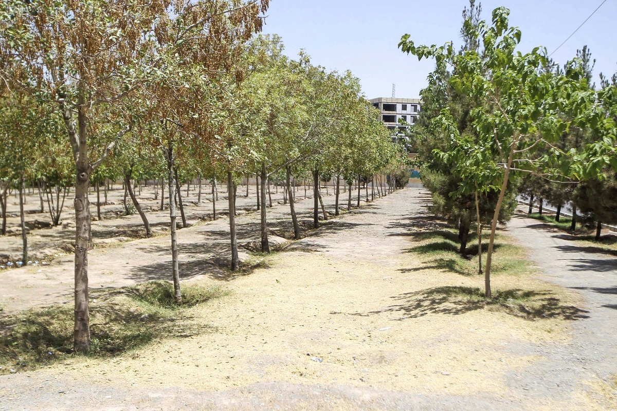 معبری با کاربری آموزشی در نقویه معبری با کاربری آموزشی در نقویه