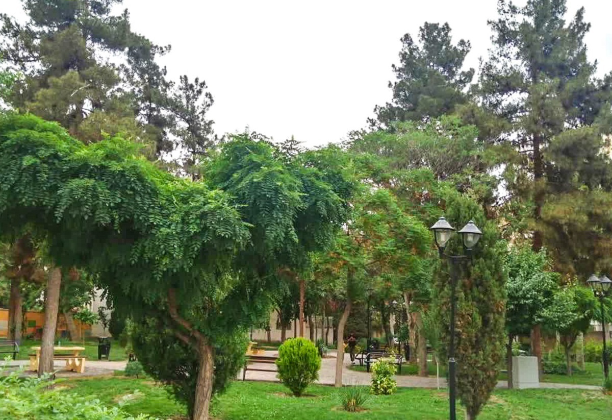 بیستون پرتردد