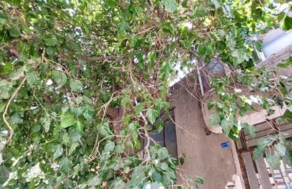 کوچه شهید آرمون 26 کنار ورزشگاه حافظ کوچه شهید آرمون 26 کنار ورزشگاه حافظ