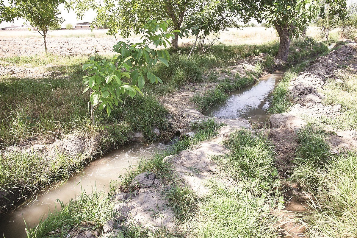 برکت مزرعه اقای کیخا