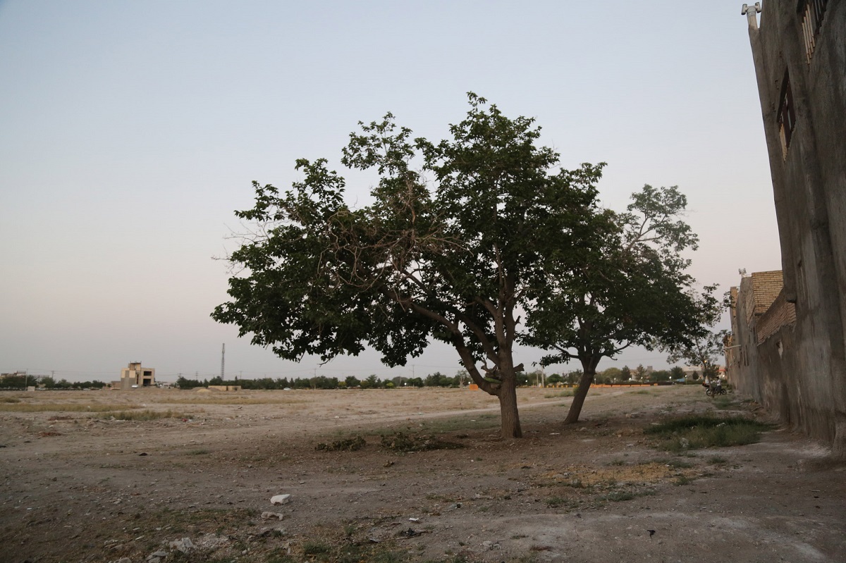 کوچه شهید مدافع حرم