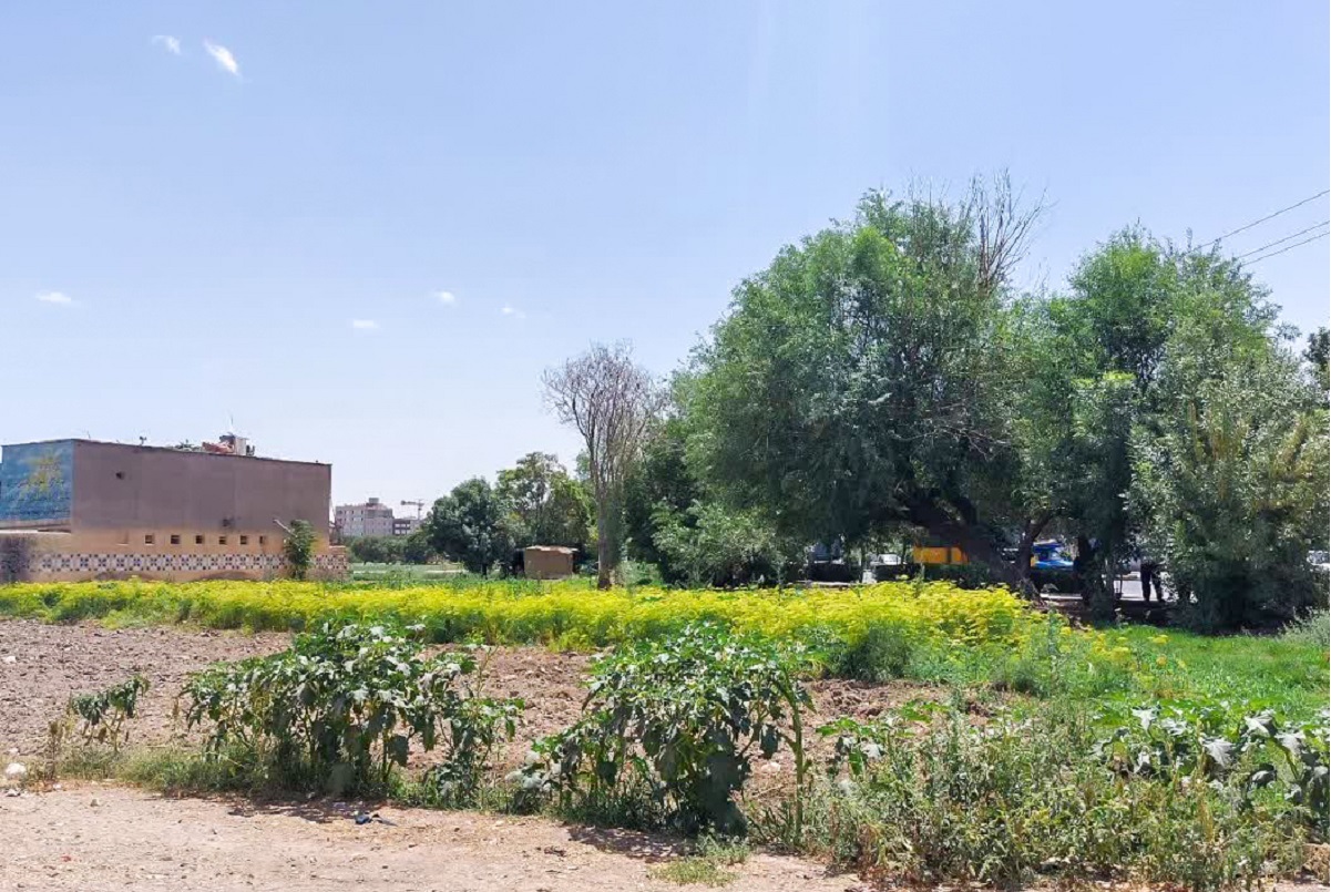 کوچه مجتمع خدمات خودرویی در محله حسین‌آباد