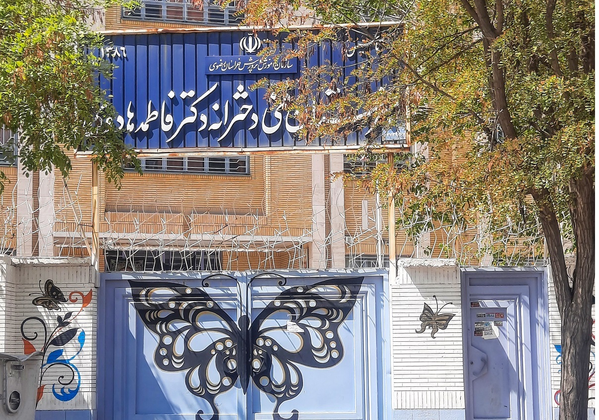 کوچه خوش آب و هوای محله انقلاب کوچه خوش آب و هوای محله انقلاب