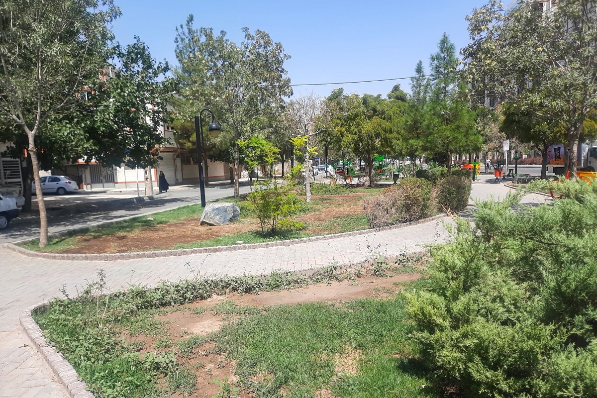 کوچه خوش آب و هوای محله انقلاب کوچه خوش آب و هوای محله انقلاب