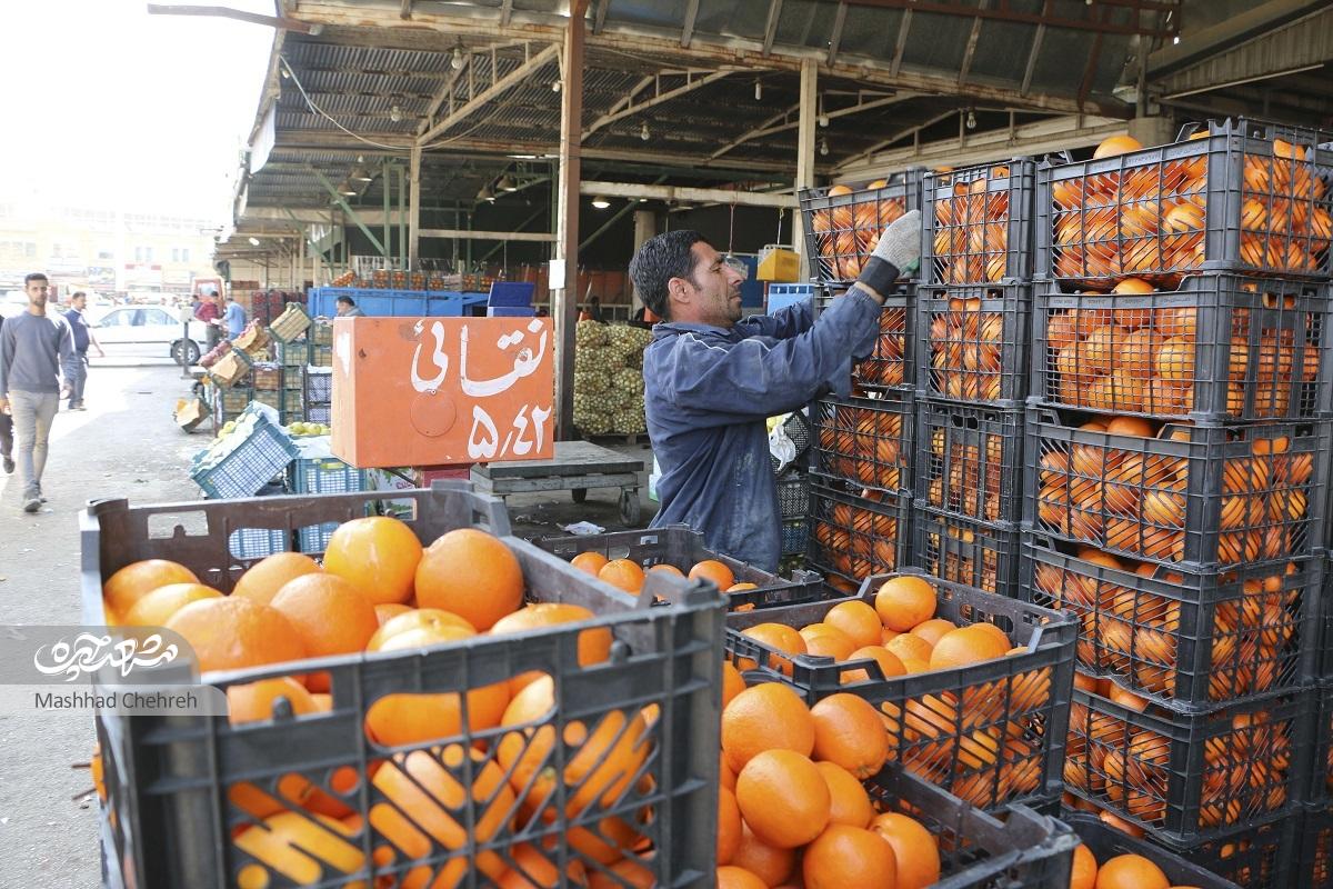 نوید؛ یادگار مزرعه فتحآباد نوید؛ یادگار مزرعه فتحآباد