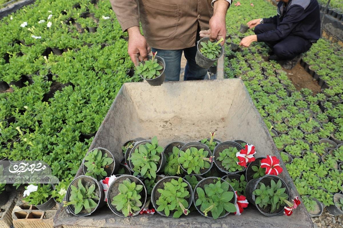 نجات صنعت کشاورزی با آموزش آکادمیک در هنرستان کشاورزی شهید یوسفی نجات صنعت کشاورزی با آموزش آکادمیک در هنرستان کشاورزی شهید یوسفی