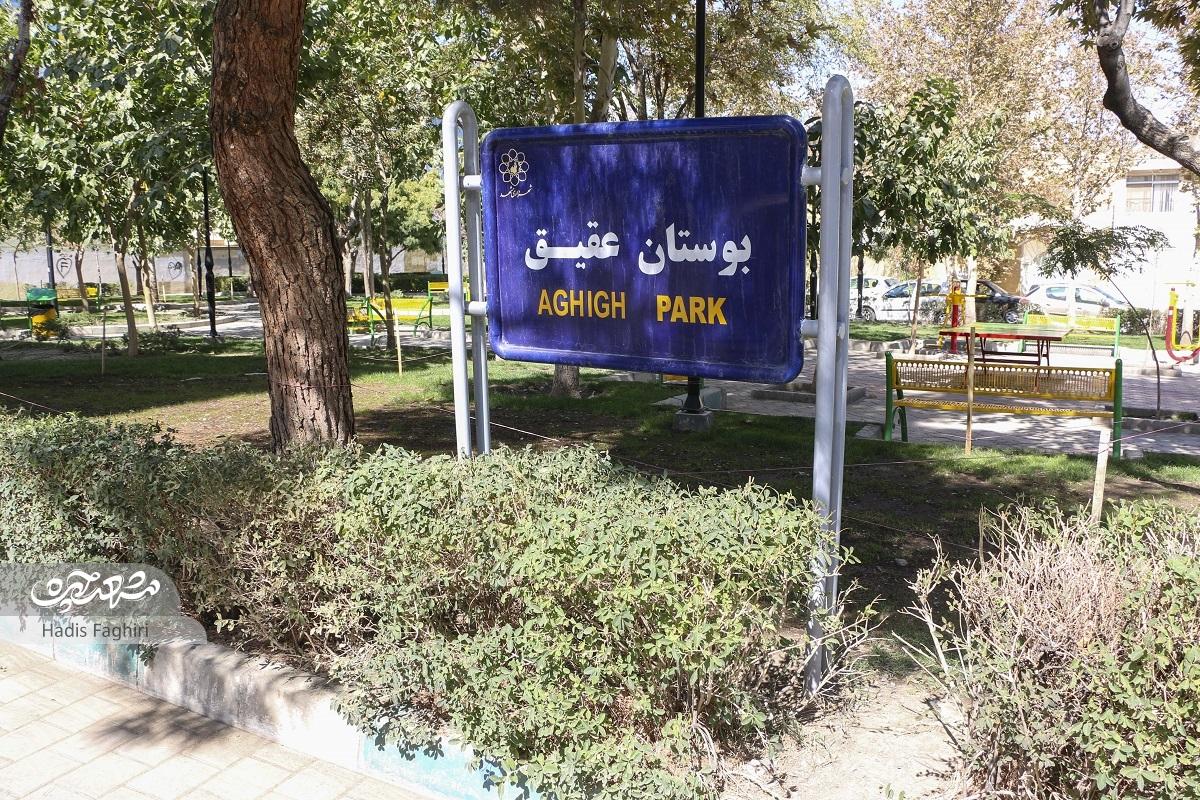 کوچه سرسبز آموزش در دانش‌آموز