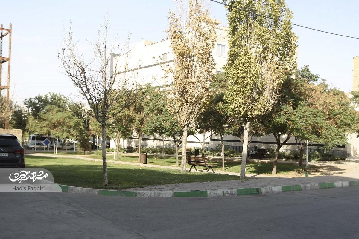 سبزترین معبر رضاشهر در پیروزی ۱۴ سبزترین معبر رضاشهر در پیروزی ۱۴