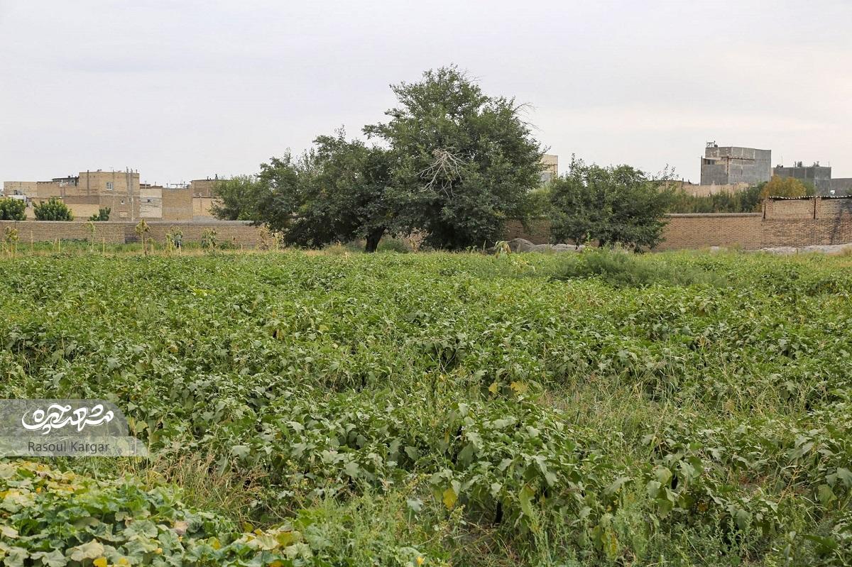 کوچه منبع آب در سیس‌‌آباد