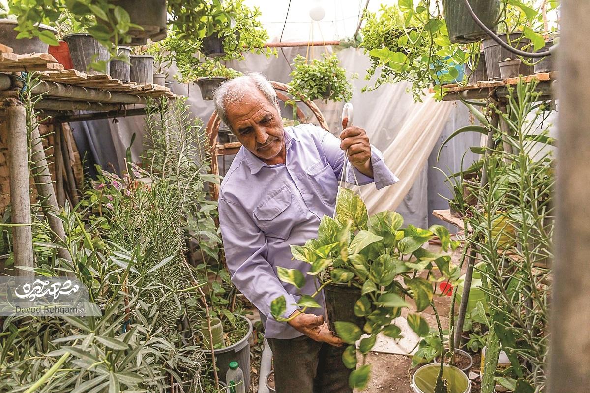 باغ بهشت در پنجتن باغ بهشت در پنجتن