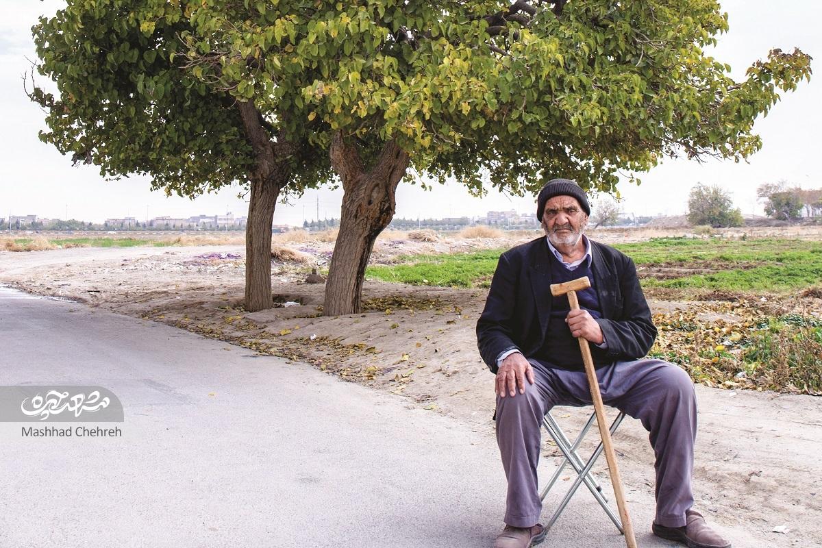 میراث پدر و پسر