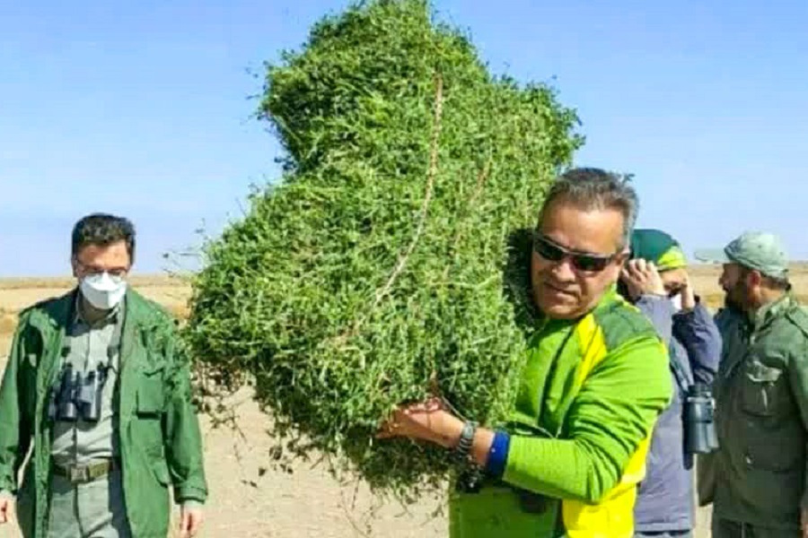 بابای «ارس» چشم حیات وحش خراسان