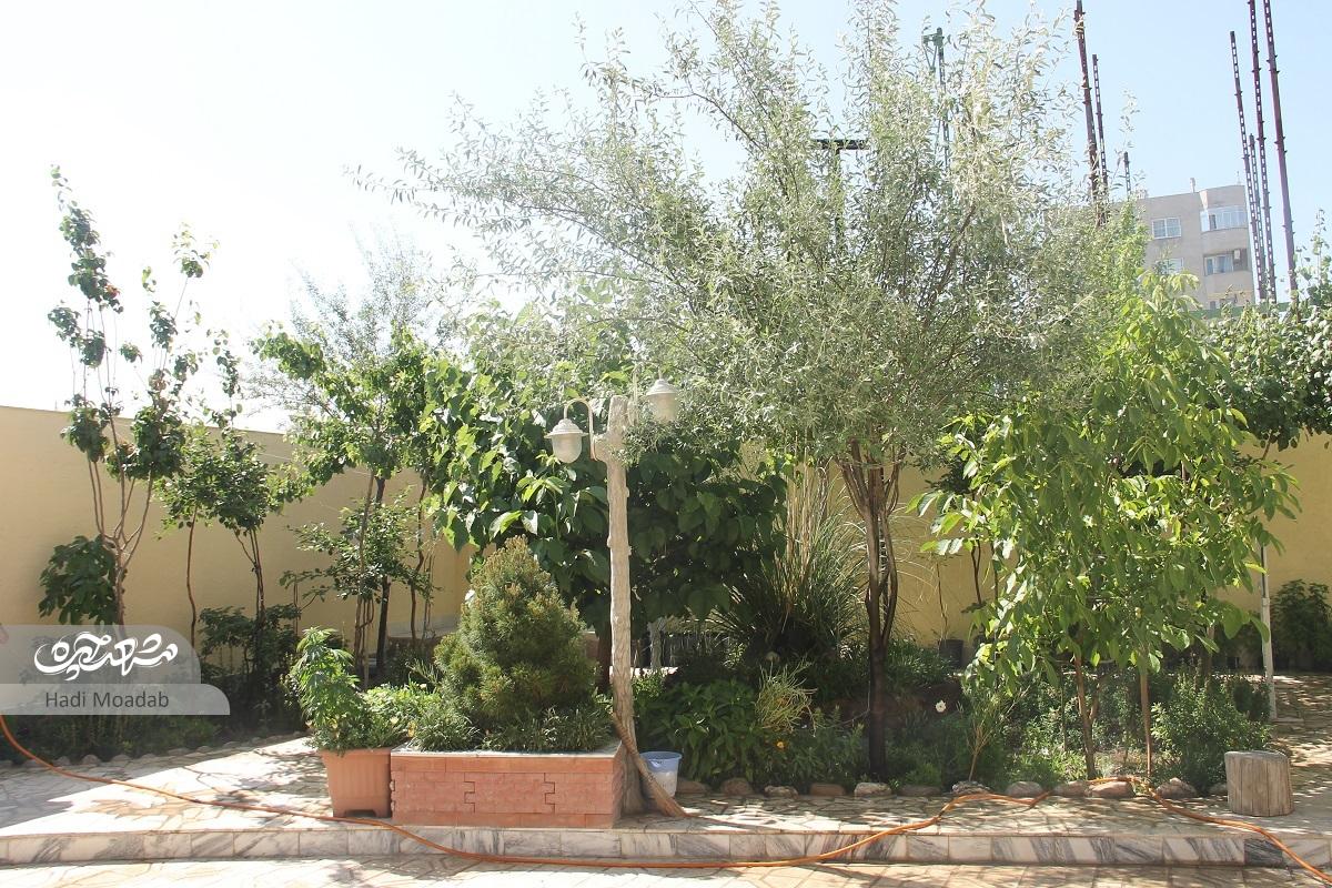خانواده سبز در خانه پلاک ۲۳ خانواده سبز در خانه پلاک ۲۳