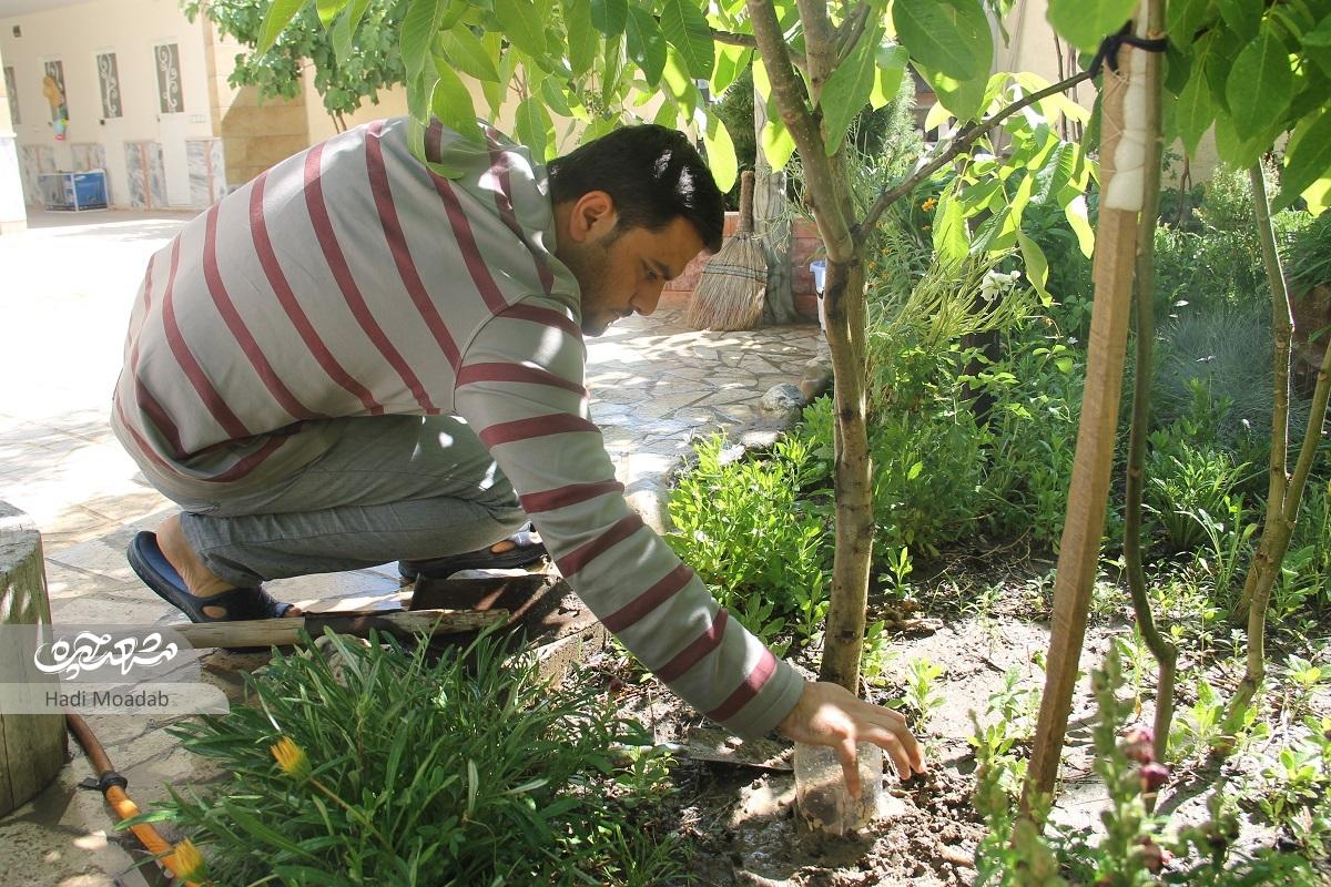 خانواده سبز در خانه پلاک ۲۳ خانواده سبز در خانه پلاک ۲۳