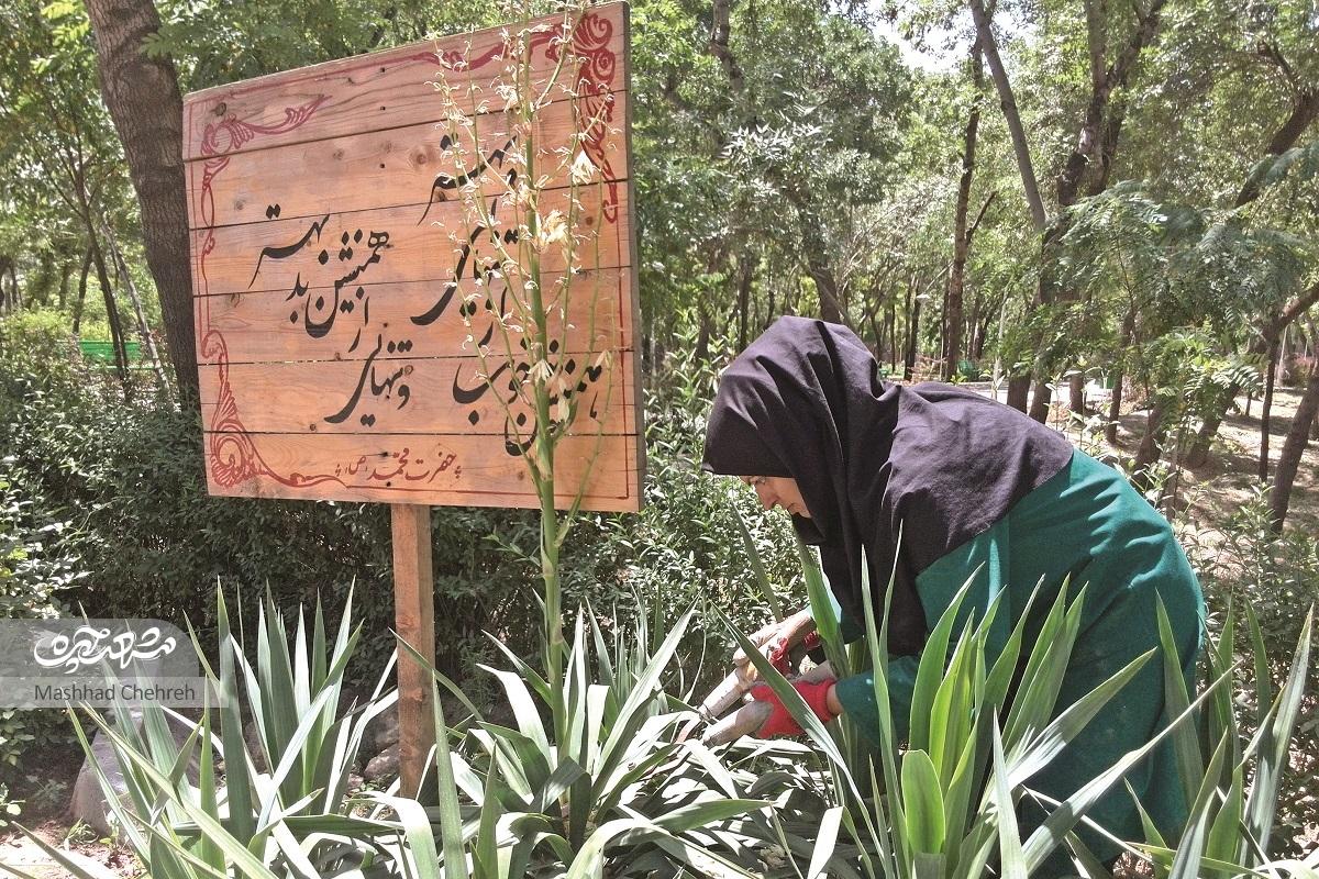 زنان سبز بوستان زنان سبز بوستان