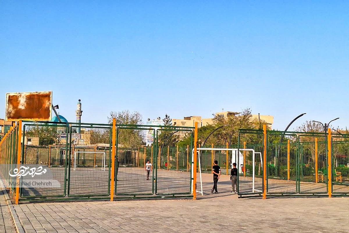 درختان توت محبوب اهالی درختان توت محبوب اهالی