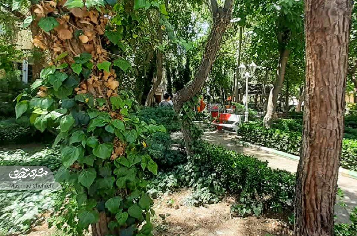 کوچه مدرسهها در زکریای ۸ کوچه مدرسهها در زکریای ۸
