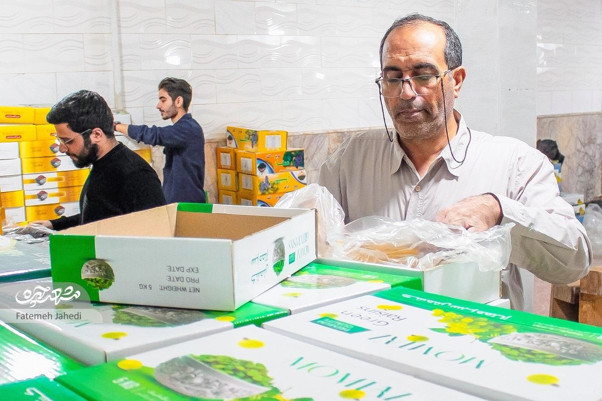 محمد اویسی پس از رها کردن پزشکی کارآفرین شد محمد اویسی پس از رها کردن پزشکی کارآفرین شد