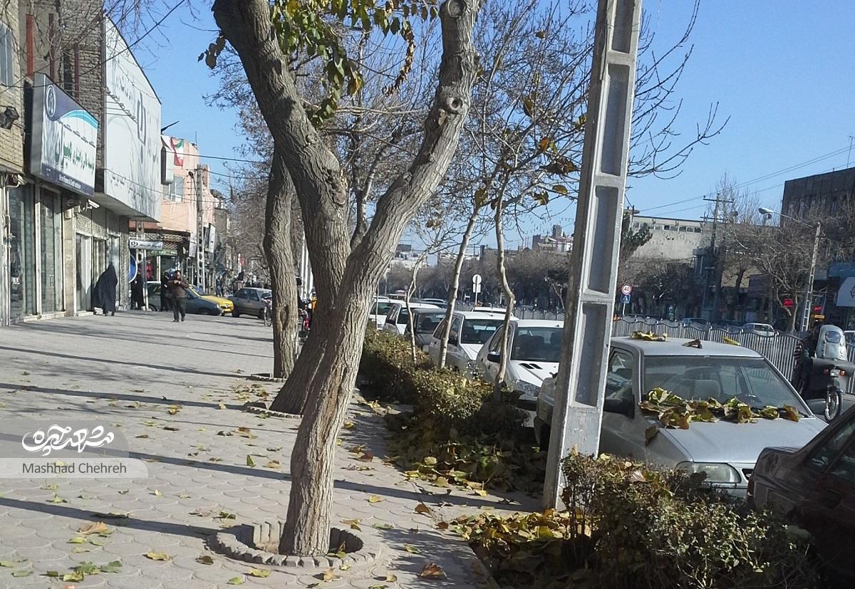 «سیدرضا» تاریخ زنده محله طلاب است