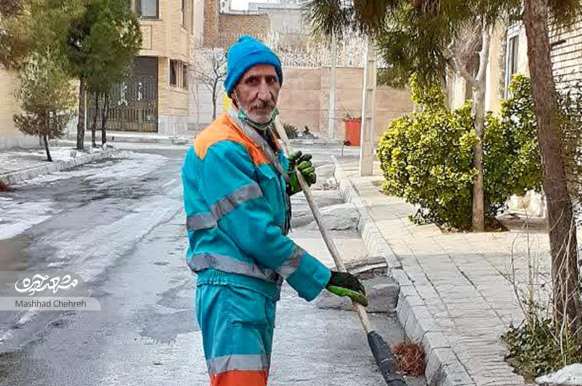 سرسبزی کوچه استادیوسفی ۱۲ هدیه آقا نعمت‌الله است