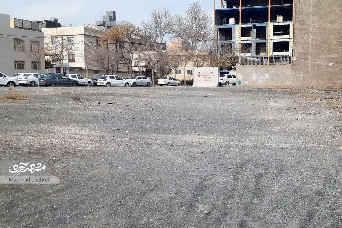سرسبزی کوچه استادیوسفی ۱۲ هدیه آقا نعمت‌الله است