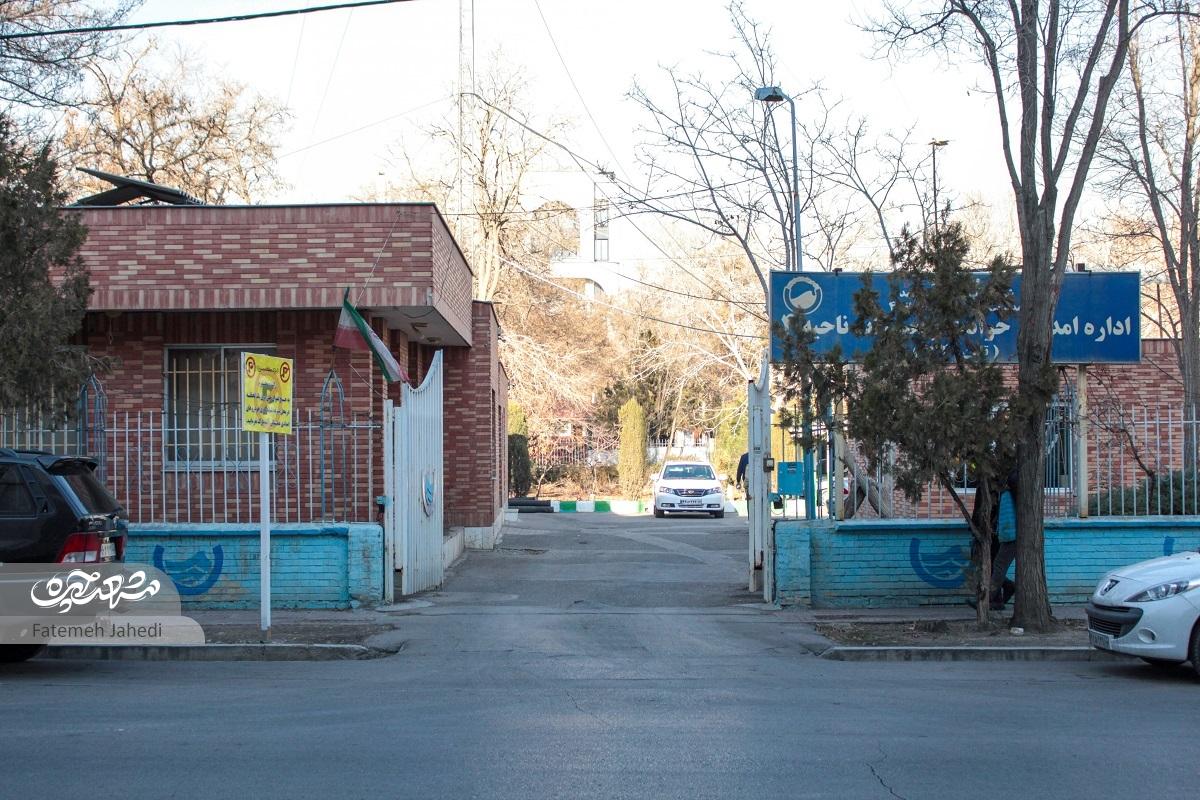 کوچه سرسبز «پرورش»