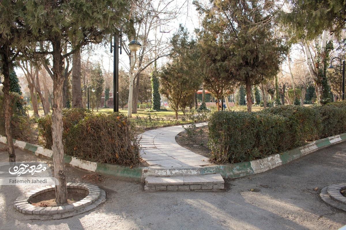 کوچه سرسبز «پرورش»