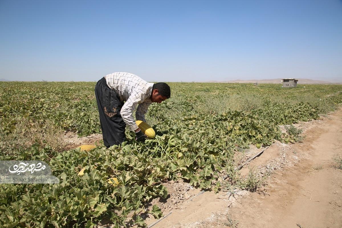 گردشگری روی پوست خربزه گردشگری روی پوست خربزه