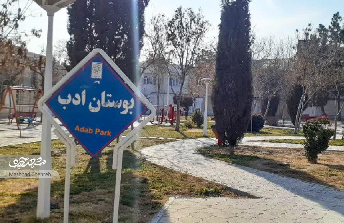 کوچه کتاب‌خوان‌ها در محله شاهد