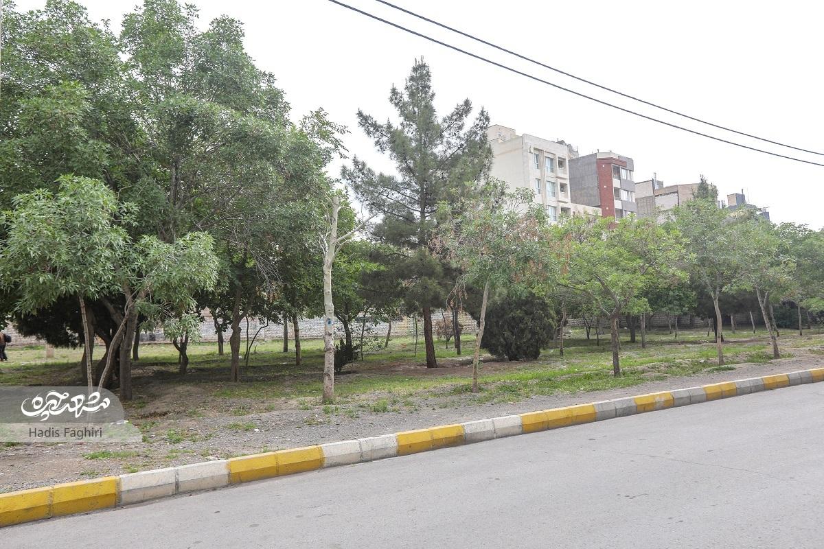گاهی شلوغ، گاهی آرام