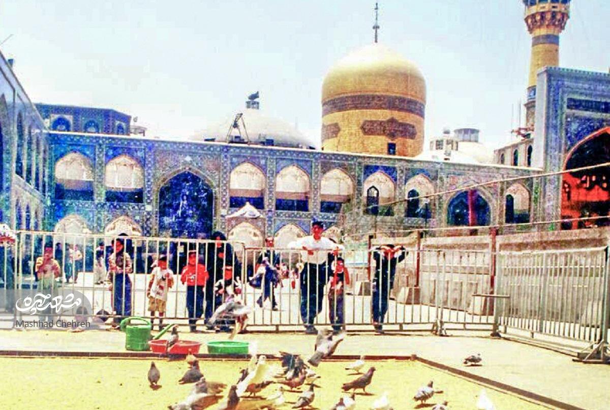 درباره تاریخ حضور کبوتر‌ها در آستان حضرت رضا (ع)