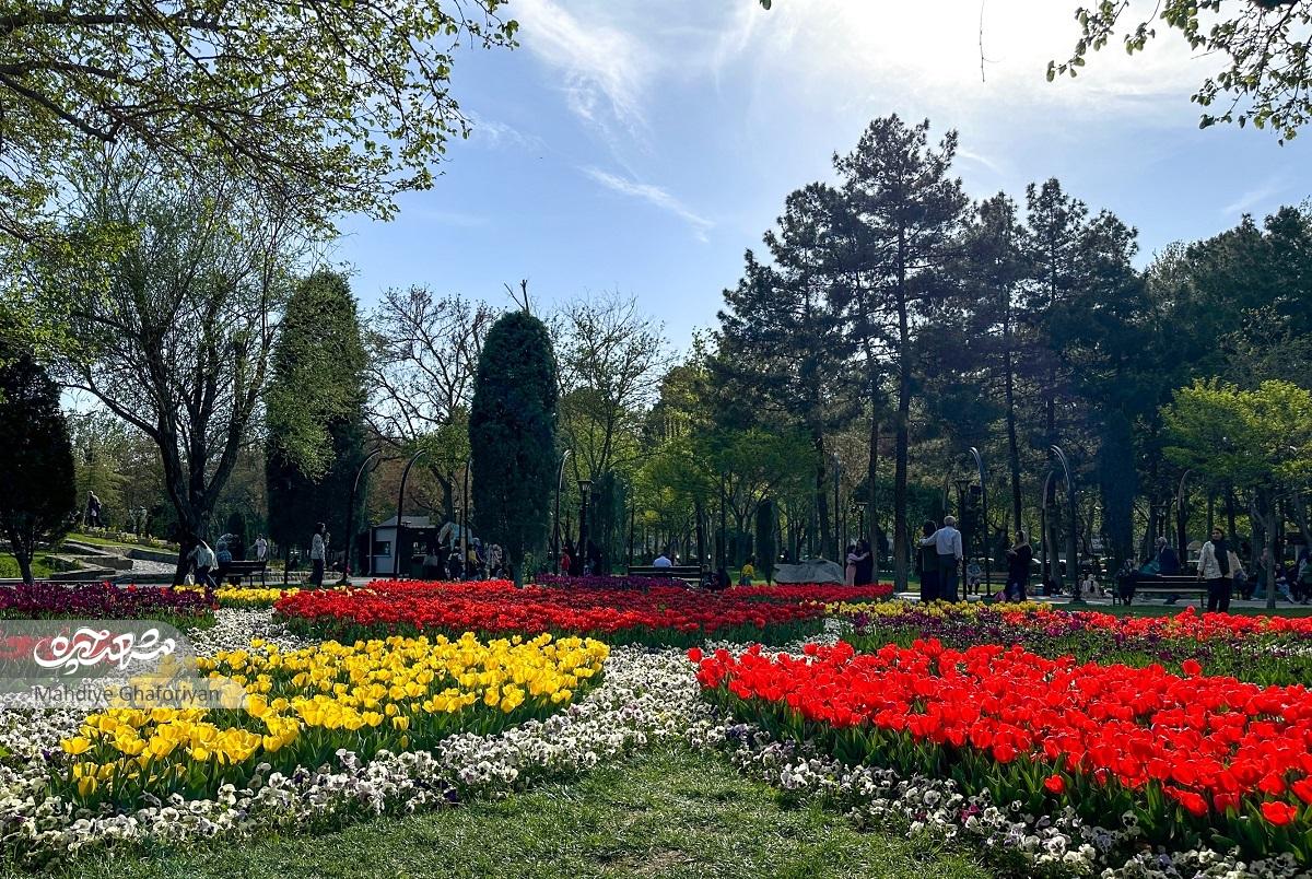 قاب در قاب، زیبایی قاب در قاب، زیبایی