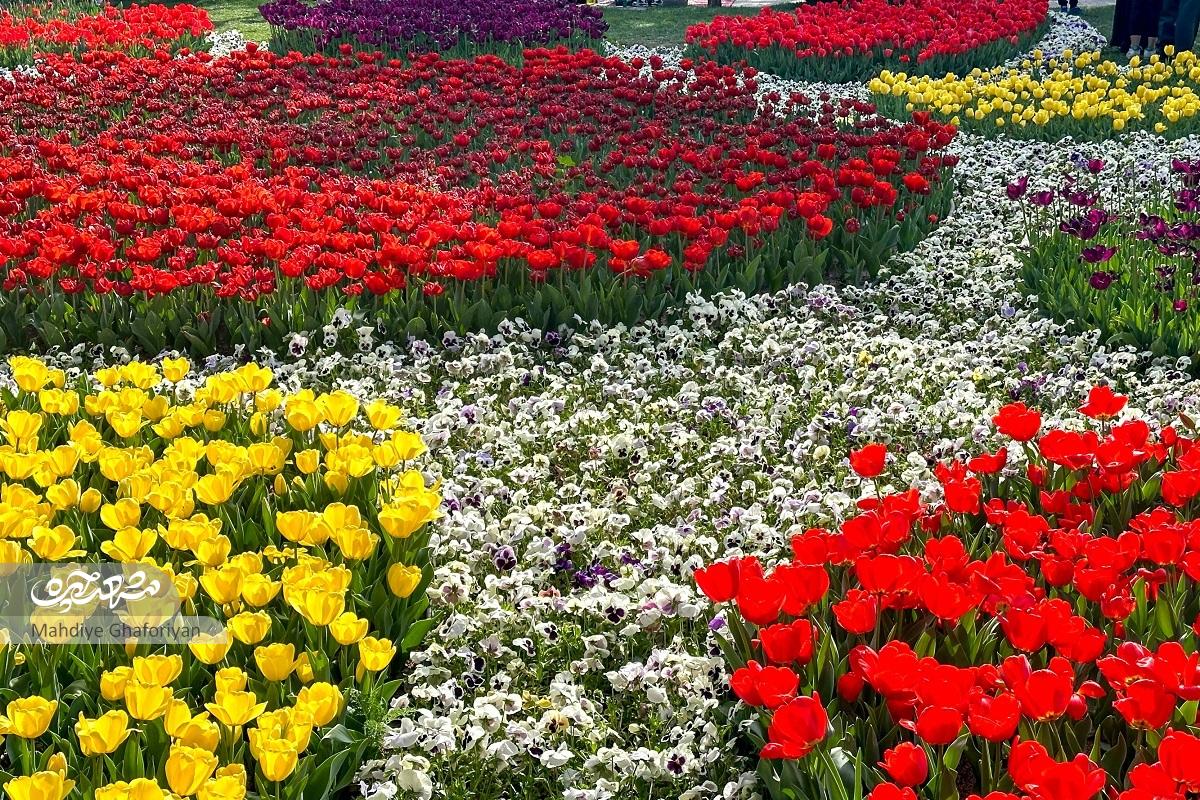 قاب در قاب، زیبایی قاب در قاب، زیبایی