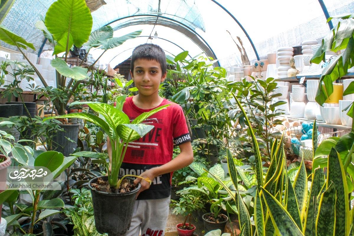 گشتی در کوچهباغ رده گشتی در کوچهباغ رده