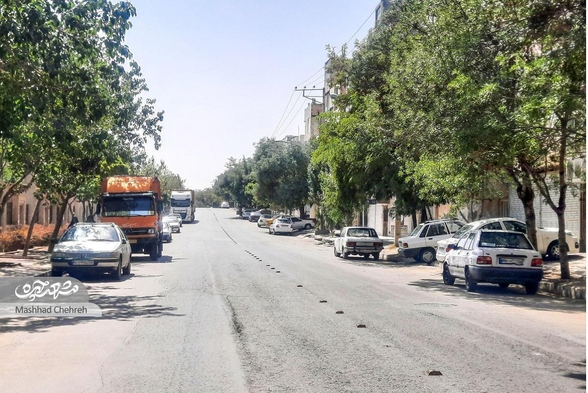 انقلاب؛ از سرسبزترین محلات مشهد انقلاب؛ از سرسبزترین محلات مشهد