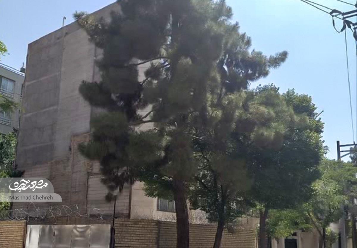 کوی رفتگران، «صفا»ی امروز کوی رفتگران، «صفا»ی امروز