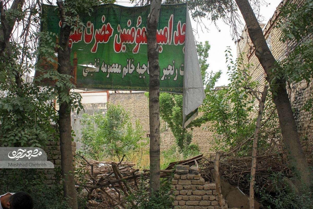 یاد شهدا در این کوچه سرسبز، سبز است