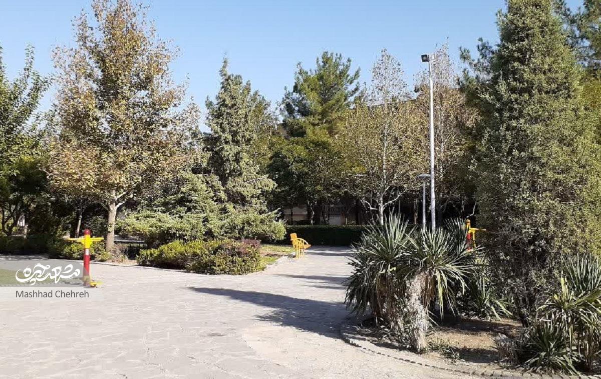 آبادانی با خانههای سازمانی در حجاب ۷۵ آبادانی با خانههای سازمانی در حجاب ۷۵
