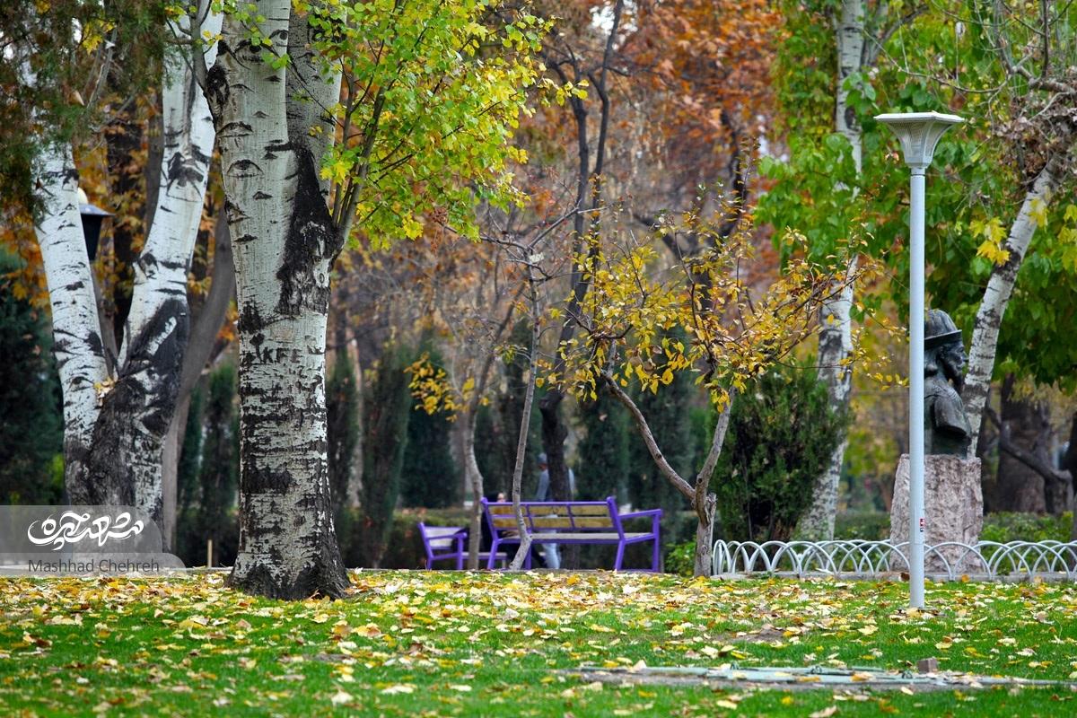 پارک ملت ساخته دست ایرانی هاست و انگلیسی ها نقشی نداشتند پارک ملت ساخته دست ایرانی هاست و انگلیسی ها نقشی نداشتند