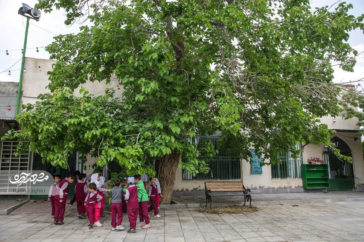 کوچه سرسبز خاطره‌ساز